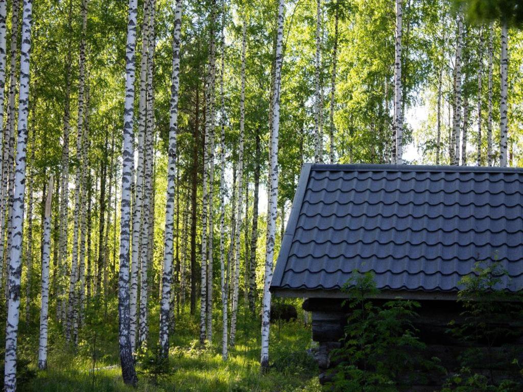 Bed and Breakfast Tarina-Aho Vuonislahti Exterior foto